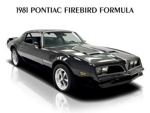 Pontiac firebird formula - firebird, 1981