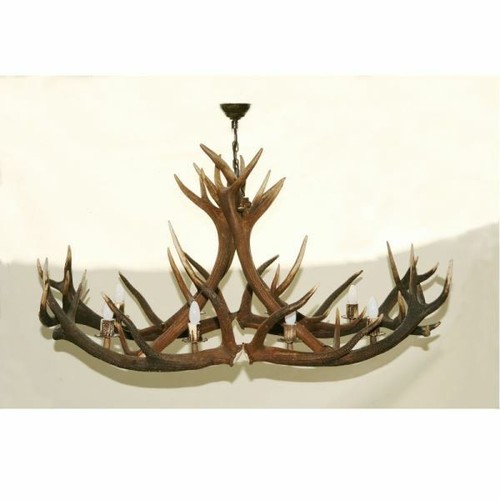 Lampadario con vere - corna, di
