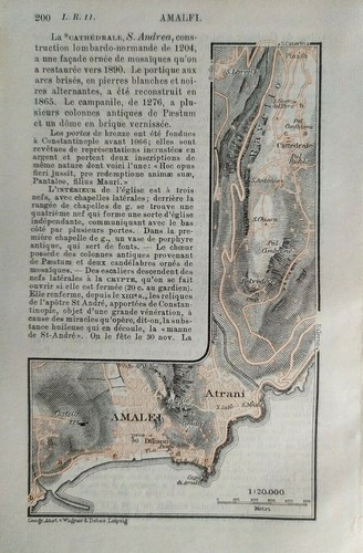Stampa antica pianta - stampa,