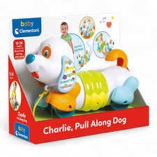Charlie cane trainabile - charlie,