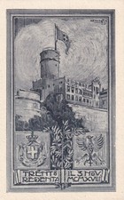 CARTOLINA DI TRENTO ,TRENTO REDENTA - IL 3 NOVEMBRE 1918 - PATRIOT TICA