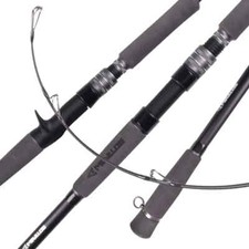 Canna da Pesca Spinning
