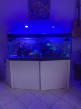 Acquario Marino 450 Litri