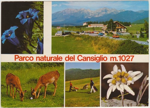 Parco naturale del - naturale, cansiglio