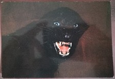 ROMA - GIARDINO ZOOLOGICO -