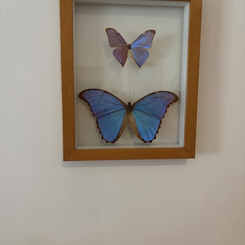 Quadro cornice con 2 - con,