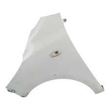 Parafango Anteriore Sinistro