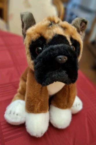 Ganz heritage boxer - ganz, cucciolo