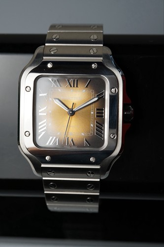 Cartier santos occhio - occhio, di