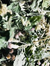 Tisana secca da sogno