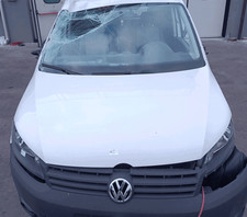 1T0823031Q Cofano ant