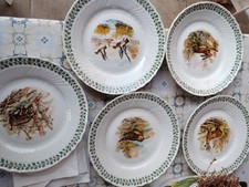 Richard Ginori Set Cinque Piatti Decorati Porcellana Vintage