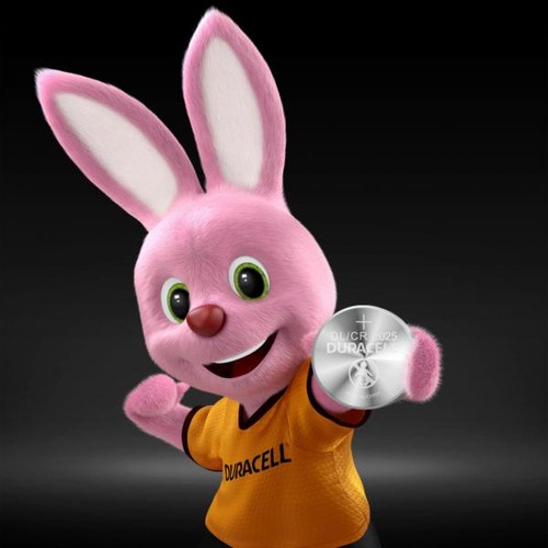 0000047713 duracell batterie - 0000047713,