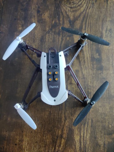 Parrot mambo fly - parrot, drone