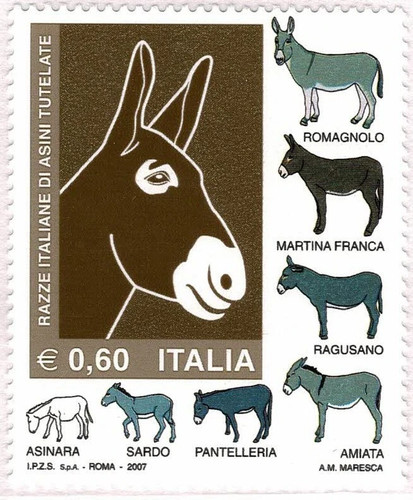 Razze italiane asini italia - asini,