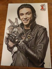 BLACK VEIL BRIDES/ SLEEPING WITH SIRENS / STEEL PANTHER Nice Poster T31
