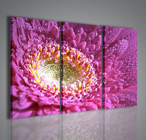 Quadri moderni the beatiful - the,