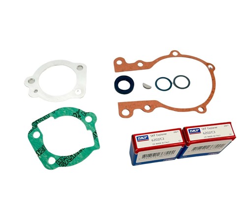 Kit revisione motore skf - revisione,