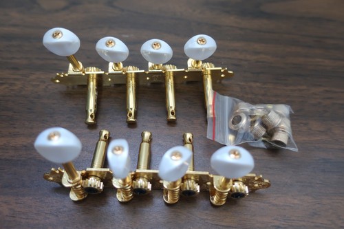 Set accordatori mandolino oro