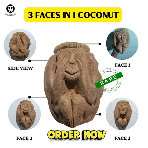 Scimmia husk cocco - scimmia,