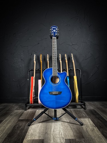 Washburn festival ea15 - washburn,