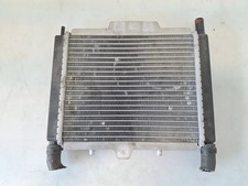 Radiatore Peugeot Geopolis 400