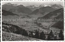 Saanen Panorama