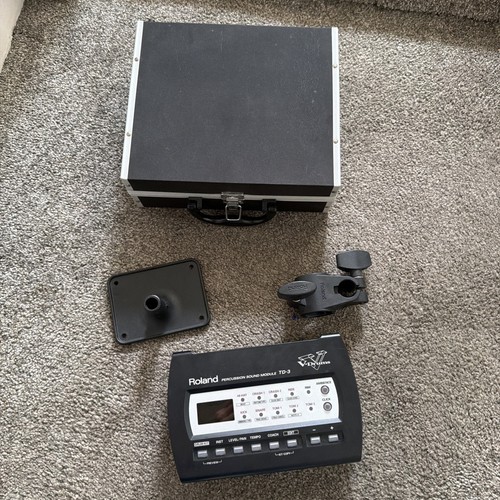 Roland modulo cervello - td-3,