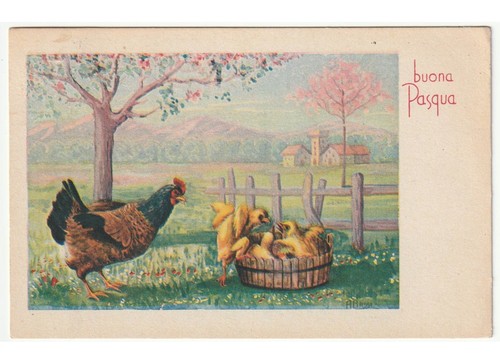 1954 bassi campagna - a.,