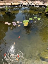 Sistema filtraggio per - di,