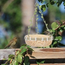  Nido Cocorite Gabbie Uccelli