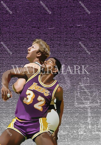 E920 larry bird foto - e920,