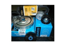 KIT CINGHIA SERVIZI PULEGGIA + 2 CUSCINETTI ALFA 147 156 1.9 JTD-JTDM