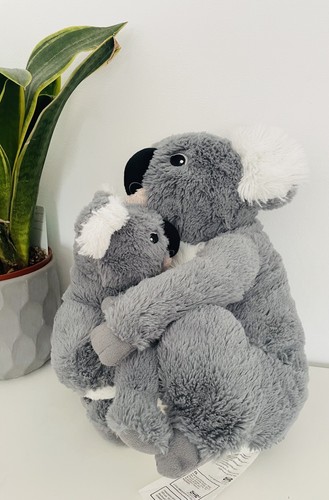 Peluche orso koala - , ikea