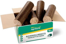 Tronchetti Di Faggio in