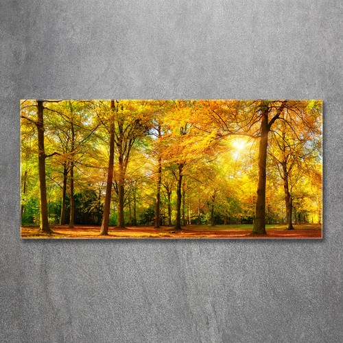 Quadro vetro quadri da - vetro,