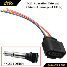 Fascio Elettrico Connettore
