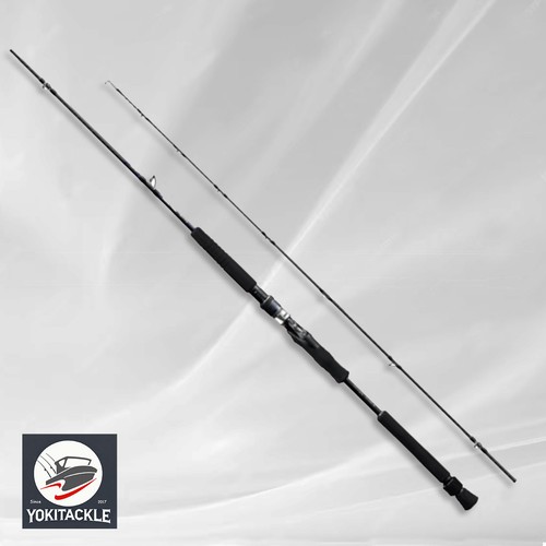 Asta baitcasting shimano - da, 21