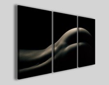 Quadri sexy Female body stampa nudo artistico donna