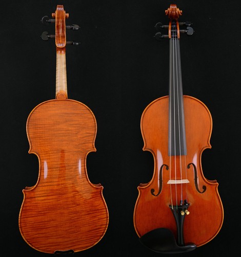 Splendido violino suono - splendido,