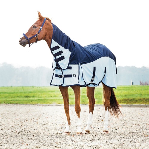 Horse guard coperta - horse,