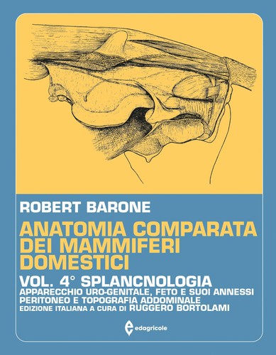 Anatomia comparata dei