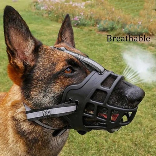 Cestino per cani - , grandi