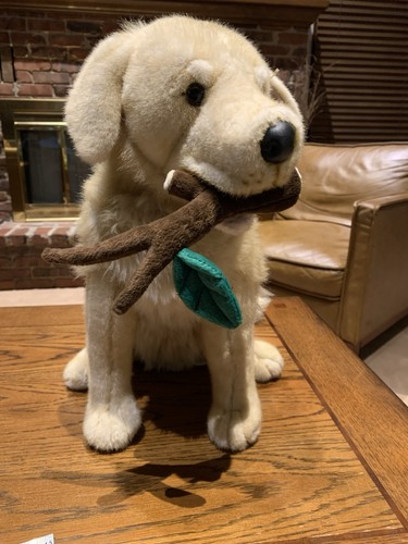 Fao nero golden retriever - fao,