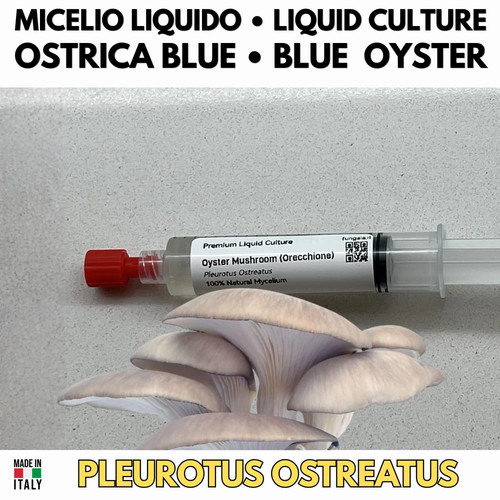 Kit funghi zero sprechi - funghi,