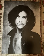 Prince - Loring Park Session