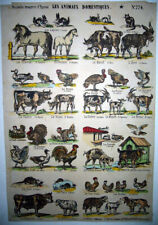 Zoologia, Animali da fattoria