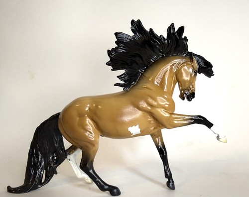 Wia raro stallone - stallone, cavallo