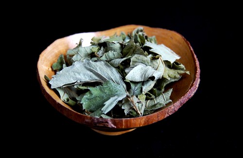 Foglia fragola wicca - di,