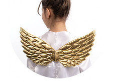 CARNEVALE HALLOWEEN ALI ANGELO